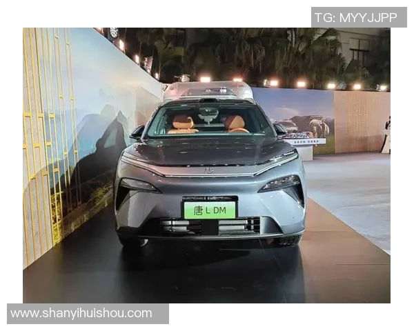 图片报:比亚迪方案冠名法兰克福主场,总价可达9000万欧 图片报:比亚迪方案冠名法兰克福主场,总价可达9000万欧